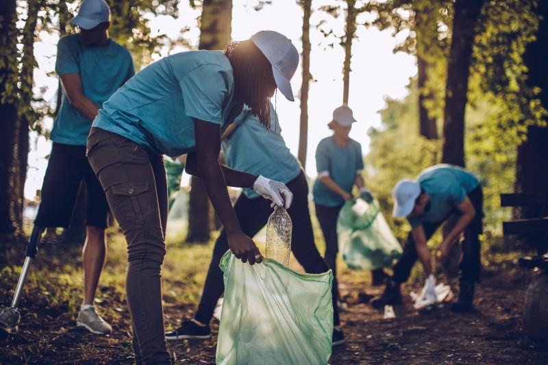 people picking up trash in the woods